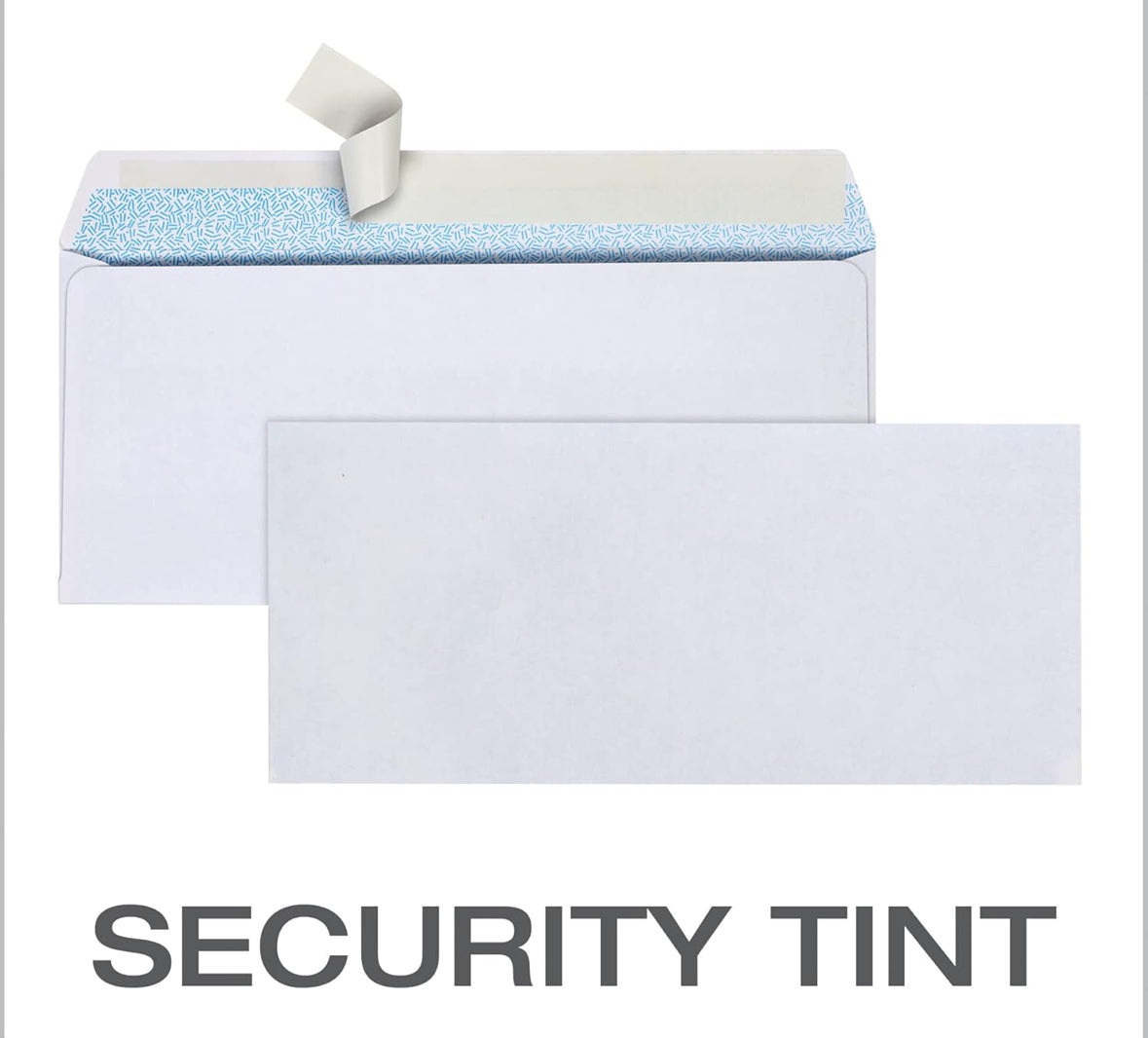 #10 Security Envelopes