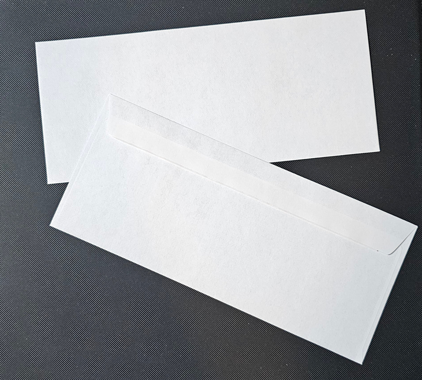 #10 Security Envelopes