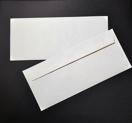 #9 Security Envelopes